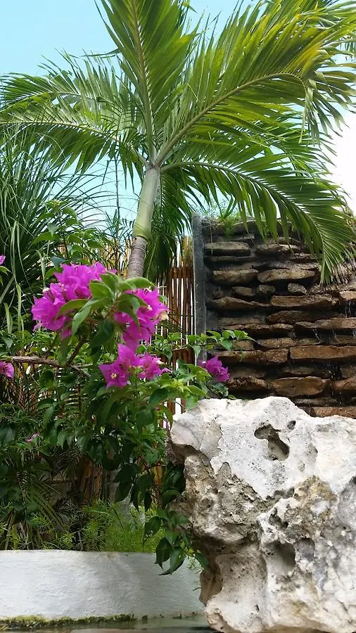 Playa Kaan Condominiums- Unit 22 普拉亚卡门 0*,